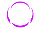 maedalAirAssault maedalAirAssault